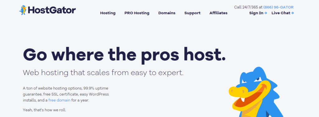 WordPress Hosting for Beginners 