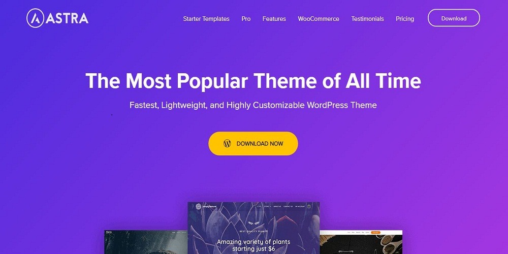 WPAstra WordPress Theme