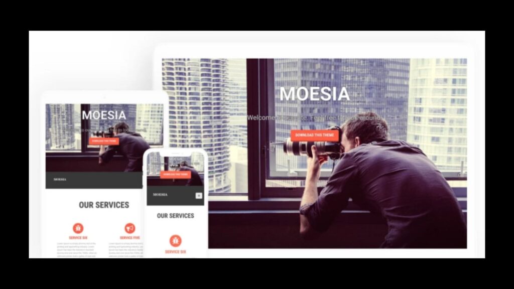 Moesia WordPress Parallax Theme