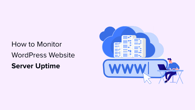 HostGator vs Bluehost: The Perfect Web Hosting Comparison 2024