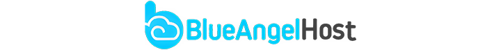 Best WordPress DMCA Ignored Hosting